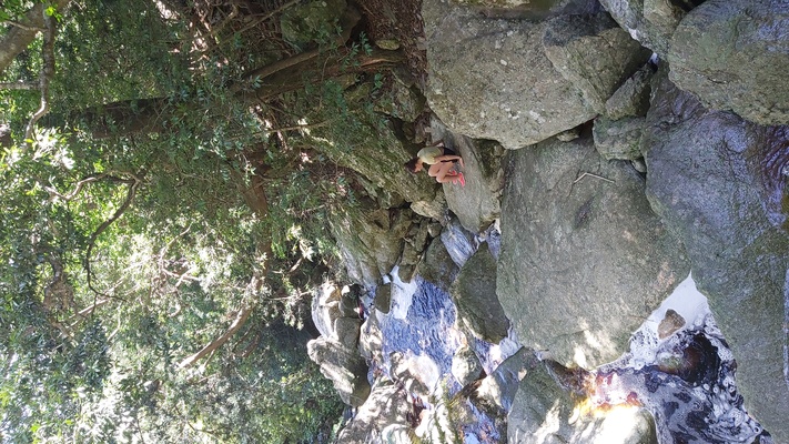 Le ruisseau dans la forêt